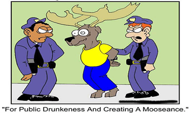 Cartoon moose arrested by police for public drunkenness, causing a mooseance, handcuffed and surprised.
