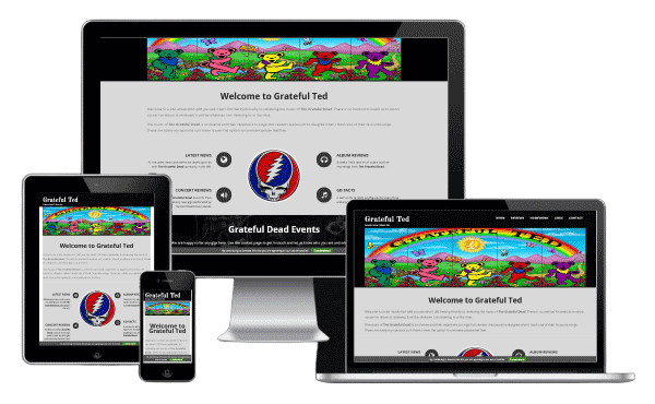 Grateful Ted - NetService Web Design Portfolio Image