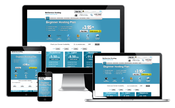 NetService Hosting - NetService Web Design Portfolio Image